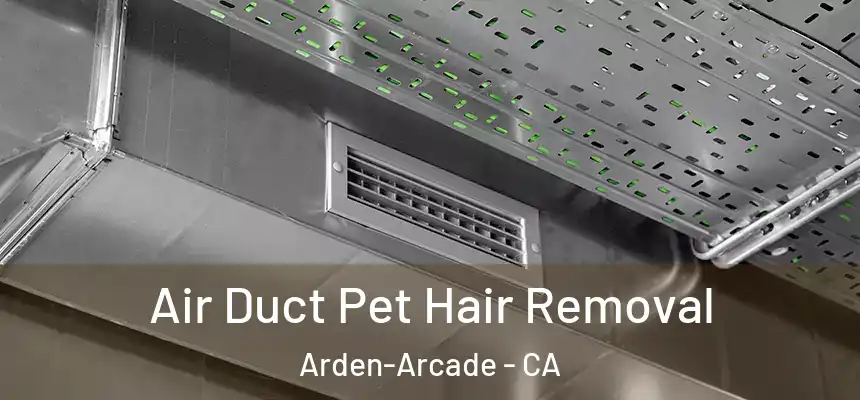  Air Duct Pet Hair Removal Arden-Arcade - CA