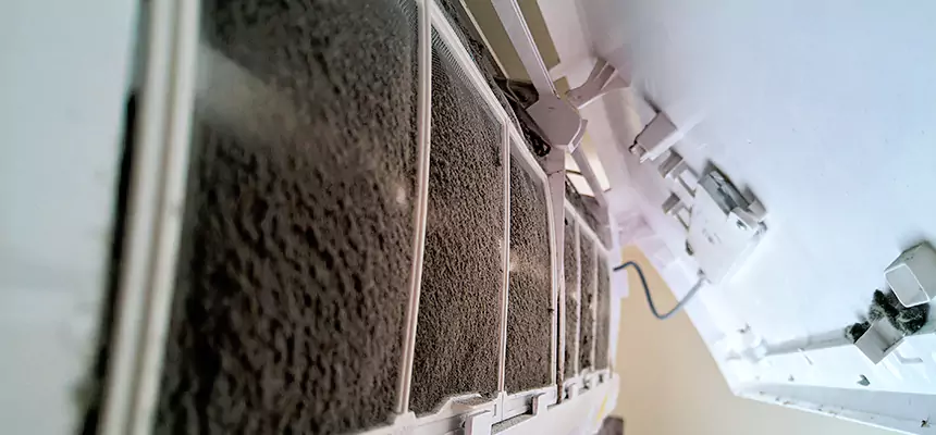 Preventive Air Duct Bacteria Removal in Arden-Arcade