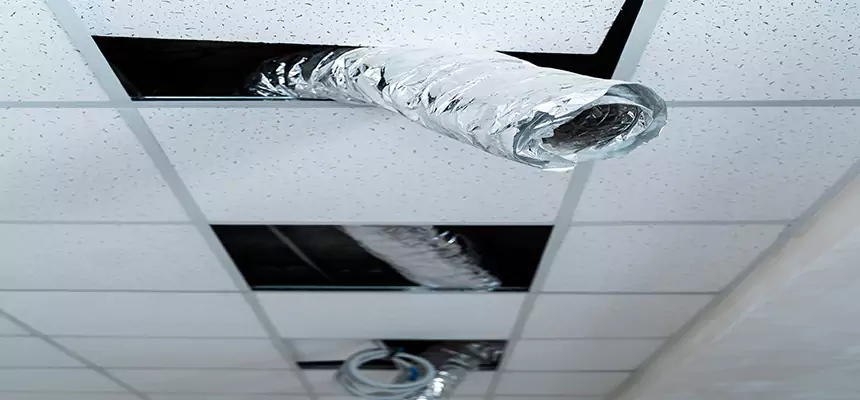 Our Air Duct Pet Hair Removal Services in Arden-Arcade, CA