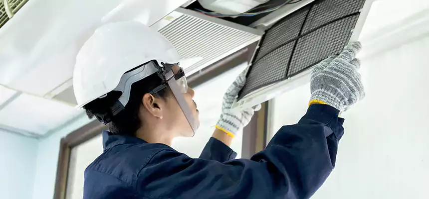 Our Mold & Mildew Removal from Air Ducts Services in Arden-Arcade, CA