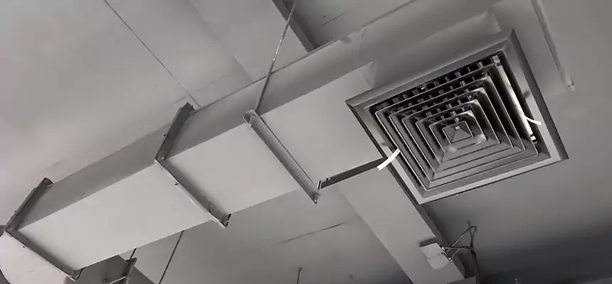 Our Pest Removal From Ducts Services in Arden-Arcade, CA