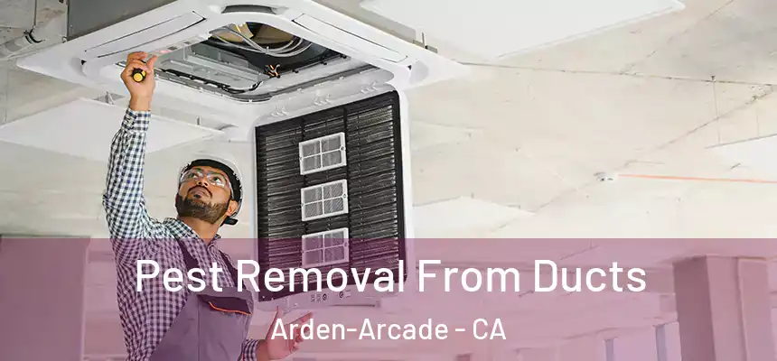 Pest Removal From Ducts Arden-Arcade - CA