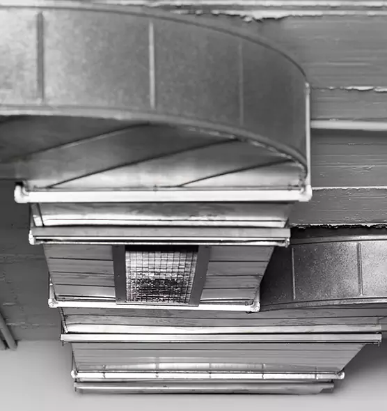 Professional Air Duct Pet Hair Removal in Arden-Arcade, CA