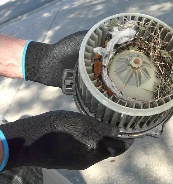 About Air Duct Rat Removal in Arden-Arcade, CA