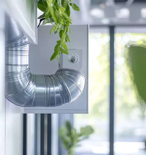 Professional Eco-Friendly Duct Cleaning Services in Arden-Arcade, CA