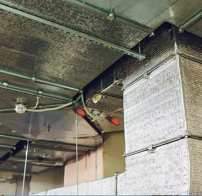 Why Homeowners & Businesses Trust Us in Arden-Arcade, CA?