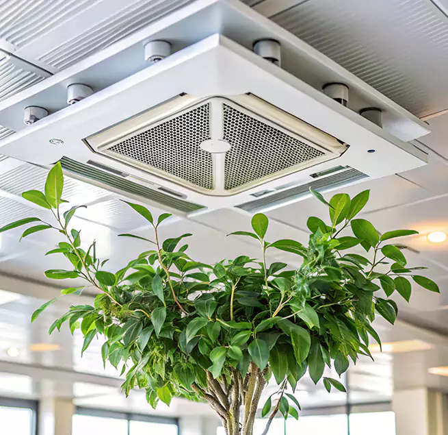 Why Homeowners & Businesses Trust Us in Arden-Arcade, CA